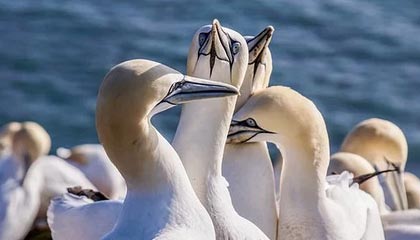 开云下载-狼队-战平卡迪夫城，客场未能夺得三分喜忧参半，卡迪夫俱乐部