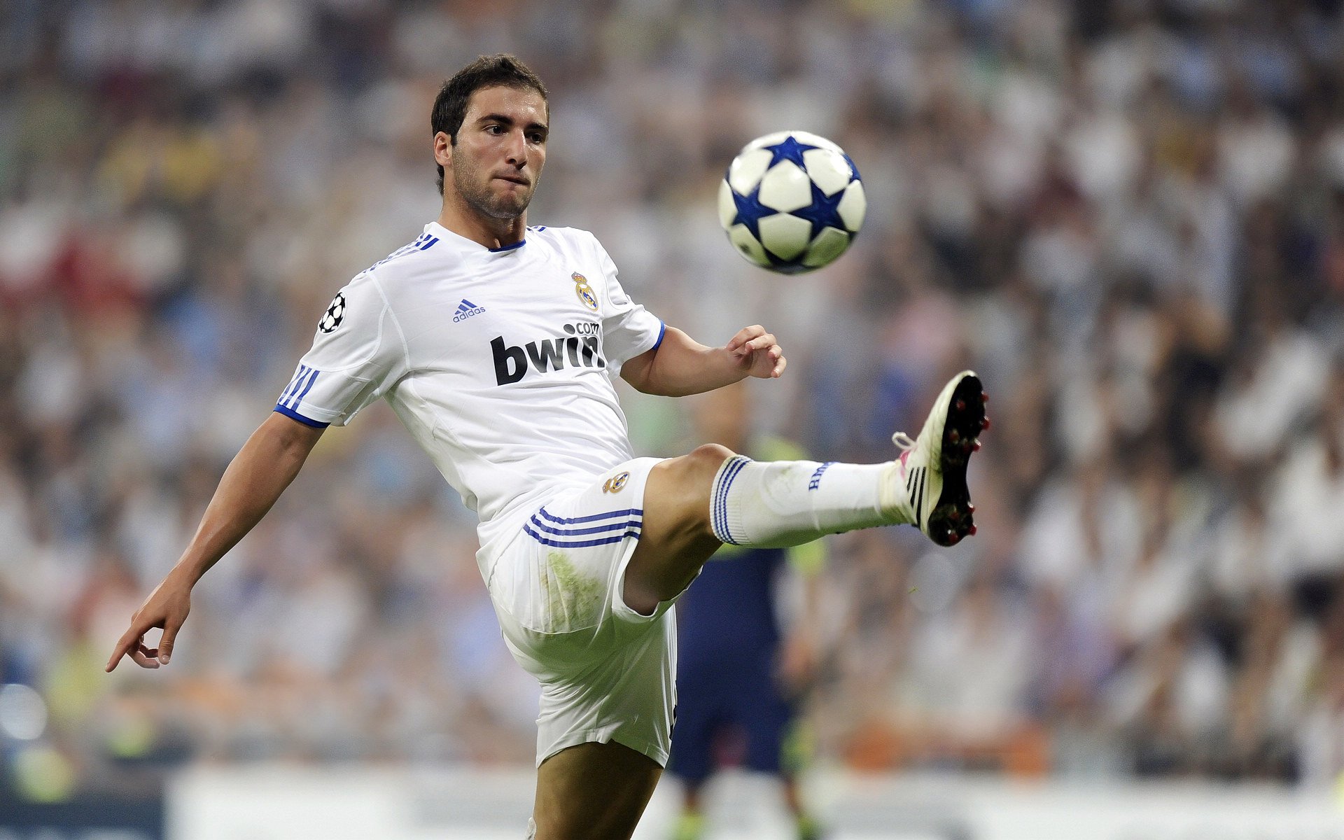 惊心动魄，谁将在终极对决中脱颖而出？，终极对决是谁演的